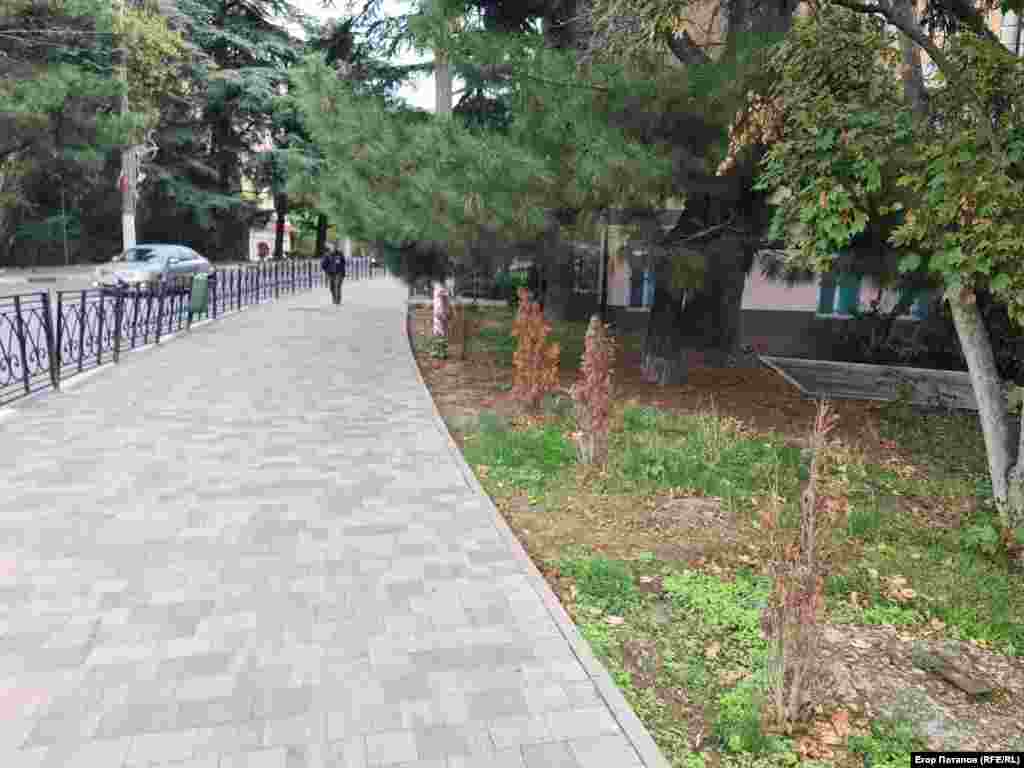 Висаджені цьогоріч деревця в Ялті засохли без поливу