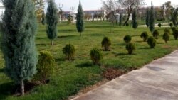 Türkmenistanda 'ählihalk' ýowary geçirildi, ýerli media ony ‘zähmet baýramçylygy’ häsiýetlendirdi