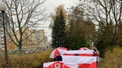 Гродно шаарындагы демонстранттар көтөргөн туулар. Беларус. 2020-жылдын 8-ноябры. Архив.