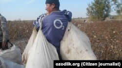 2030 yilga kelib O‘zbekistonda ishchi kuchi yana 4 millionga ko‘payishi mumkin