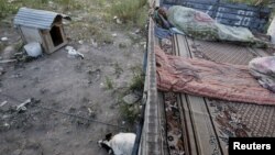 "Эркин микрофон"га қўнғироқ қилган тингловчиларимиз ўзга мамлакатларга мардикорликка кетиб, қийин аҳволга тушиб қолганларидан гапиради.