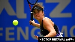 Світоліна не змогла протистояти Бертенс