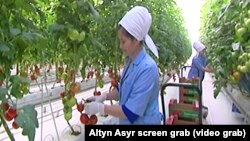 Illýustrasiýa suraty