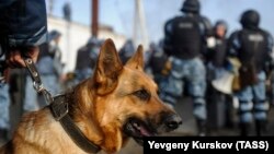 Гайтаман сурт