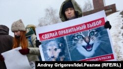 Протест зоозащитников (архивное фото)