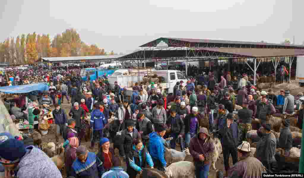 На этот рынок скотину везут продавать в основном из Таласа и Суусамыра.&nbsp;