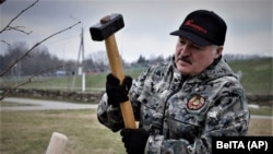 لوکاشنکو از ۲۷ سال پیش تاکنون با سیاست «مشت آهنین»، خود را در قدرت نگاه داشته است.