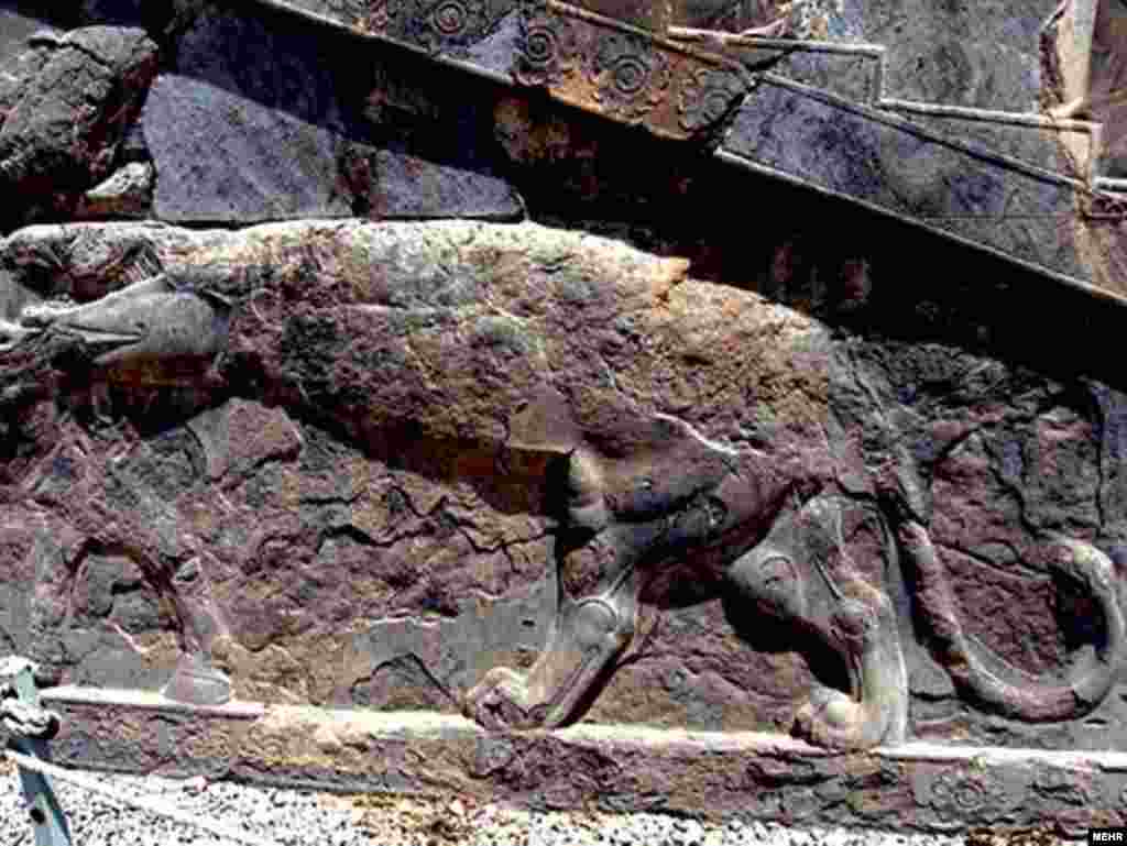 لایه سطحی نقش برجسته در اثر رطوبت از بین رفته است 