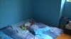 Уже 13 дней приходится спать на полу четырехмесячному Луке, который живет в двухкомнатной квартире вместе с матерью