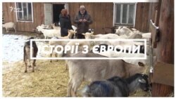 Литва: більше гектарів – більше грошей від держави (відео)