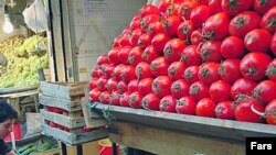 خبرگزاری اقتصادی موج، روز شنبه به مردم پيشنهاد کرد که «به جای گوجه فرنگی از اين پس ماهی بخورند!»