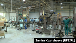 Ишкерлер башкы тоскоолдуктардын бири тиешелүү уруксат кагаздарын убагында, машакатсыз чогултуу экенин айтып келишкен.