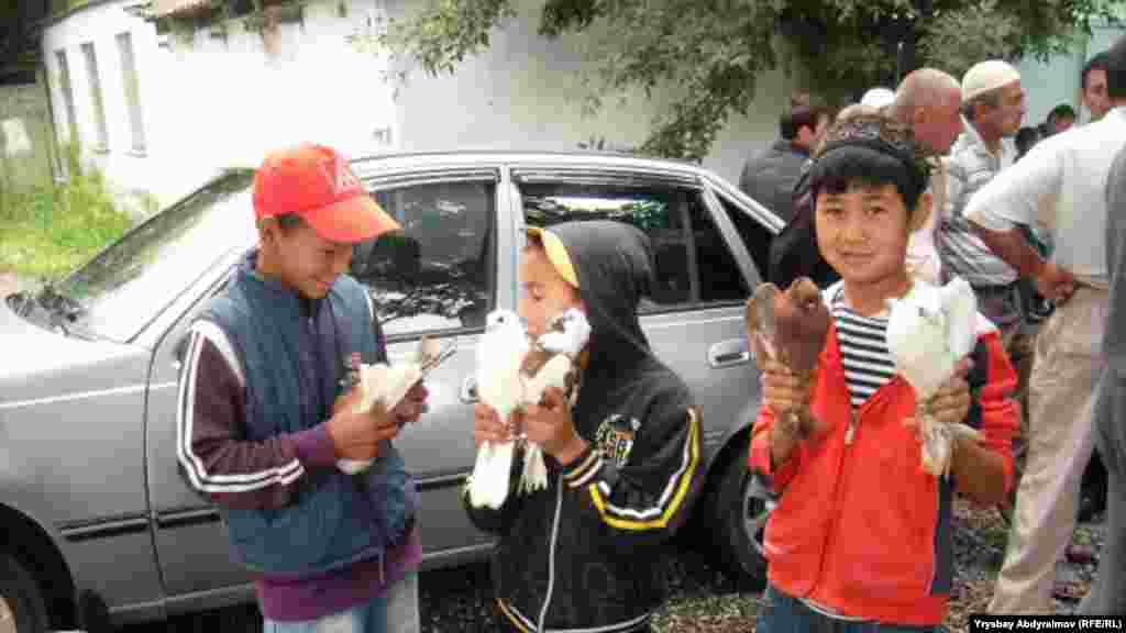 Көгүчкөн базары үчүн шаарда атайын жай жок.