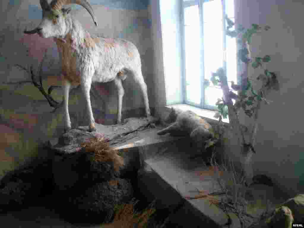 Осорхонаи кишваршиносии Бадахшон #7