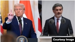 Дональд Трамп и Михаил Кавелашвили (коллаж)