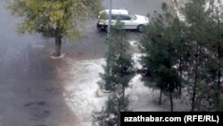 Illýustrasiýa suraty