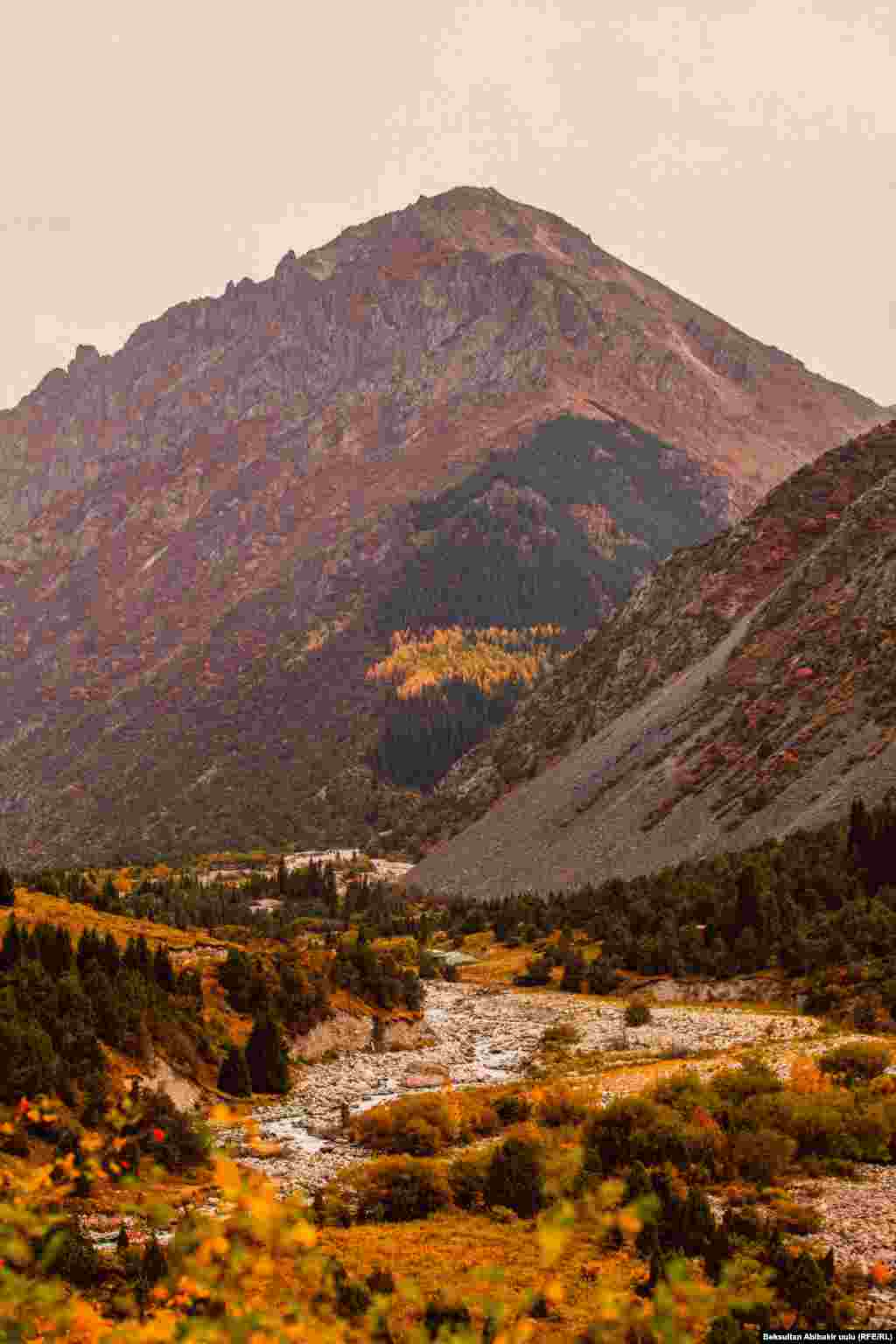 Табият салт улантса тигүүчүлүк, Тамшана карап турат тирүүчүлүк. Күндүзү, түнү дагы тыным албай, Күз менен жарышууда тиричилик. (Мелис Маматжанов)