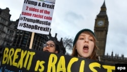 Акція протесту біля будівлі парламенту Британії в Лондоні, 1 лютого 2017 року