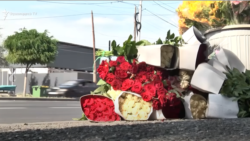 700 ջերմոցից միայն 26-ն են արտահանման թույլտվություն ստացել. արտադրողներն ասում են՝ դաշտը մնում է խոշորներին