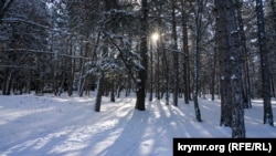 За даними Укргідрометцентру, 14 лютого в західних, північних і місцями центральних областях буде невеликий сніг, на решті території в Україні без істотних опадів