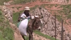 Майлуу-Суу: тар жол, тайгак кечүү