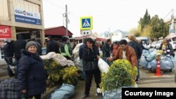 За весь сезон планируется оформить рекордные 160 тонн «золотых букетов». Это почти в два раза больше, чем в прошлом году