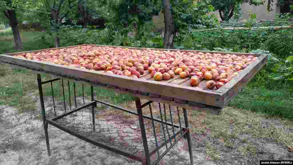 Жергиликтүү ишкерлер өрүктөн суусундуктун жана азыктын түрүн даярдашат. Алардын бири дары чөптөр кошулган өрүк курут.&nbsp;