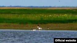 Природный парк «​Меотида»