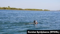 Владислав Шулико.