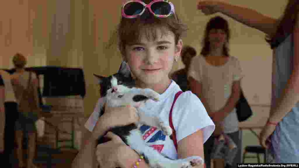 Нових господарів на фестивалі шукали близько 50 тваринок віком від 2-3 місяців до 1-2 років