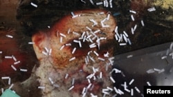 اسناد پاره‌شده روی پوستری از روح‌الله خمینی در سفارت ایران در دمشق، ۲۶ آذر ۱۴۰۳