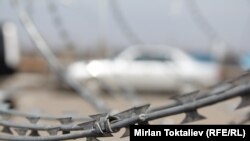 Иллюстративное фото