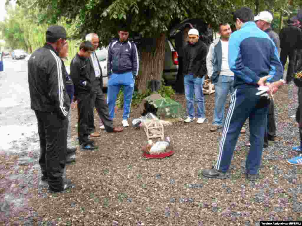 Көгүчкөн сатуучулар менен аны сатып алуучулар 5-6 жылдан бери ушул жерге чогулуп, өзүнчө базар ачып алышкан.