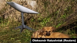 В Україні системою Starlink активно користуються військові для комунікації, отримання розвідданих та управління безпілотниками