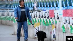 Лишь 20% опрошенных ответили, что знали бы, за кого голосовать, если бы голосовать пришлось уже завтра, 74% пока не приняли решения, 1% респондентов отказался отвечать на вопрос