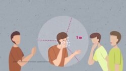 Муха Iалашвала веза коронавирусах: бакъдерг а, туьйранаш а (Видео)