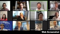 Участники онлайн-встречи, организованной 15 июля Европейским парламентом