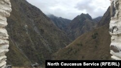 Цой-Педе, Гуьржийчоьнан дозанца. 