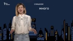 Ночной мэр, тбилисский Хатико и абхазы отдыхают