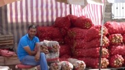 Башкортстанда бәрәңгене кышка чит илдән сатып алырга мөмкиннәр