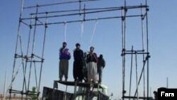 بنا با آخرين آماری که اين سازمان منتشر کرده، در سال ۲۰۰۶ ميلادی، ۱۱۷ نفر در ايران اعدام شدند.