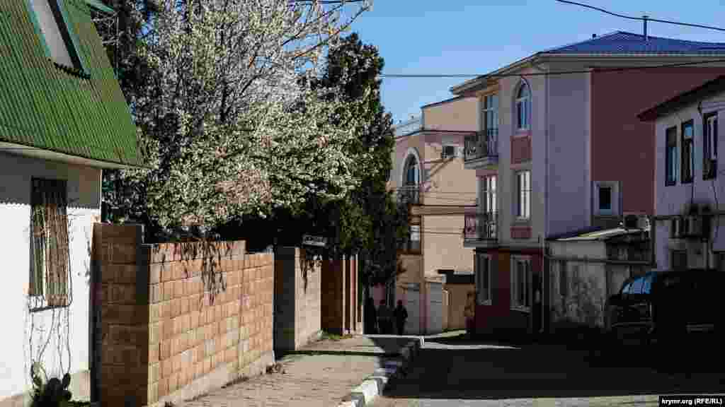 Çeçekli soqaq deñizge kete