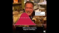 Ни өчен коронавирус чорында өйдә калу мөһим?