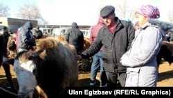 Кочкордогу мал базардан бир көрүнүш (Сүрөттүн макалага тиешеси жок)