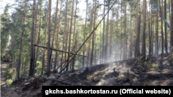 Бөрҗән районында урман яна