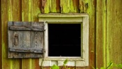 Тест: Лённебергидан Эмиль