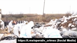 Майданчик у Щолкіному, де складують мазутні відходи, зібрані з узбережжя Криму, січень 2025 року