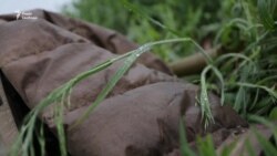 Українські військові пов’язують обстріли їхніх позицій на Донбасі з візитом делегації України до Німеччини – відео