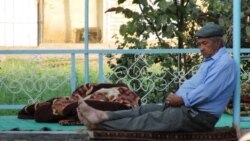 Ýatyp galandan atyp gal: Wise premýere oba hojalyga degişli nakyllary we atalar sözlerini toplamak tabşyryldy