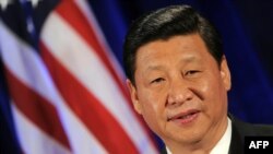 شی جین پینگ، معاون رييس جمهور چين